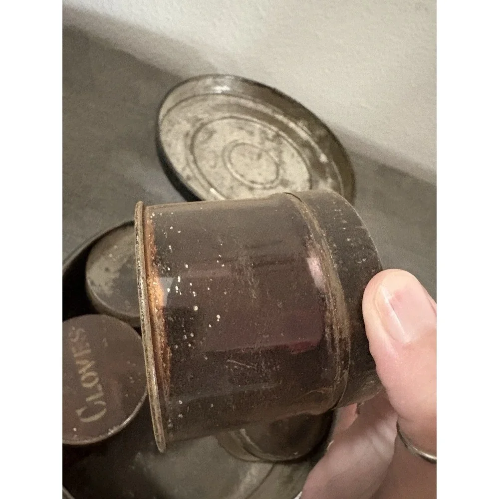 Antique Rustic Americana Spice Tin Canister Travel Set of 5 With Tin Carrier